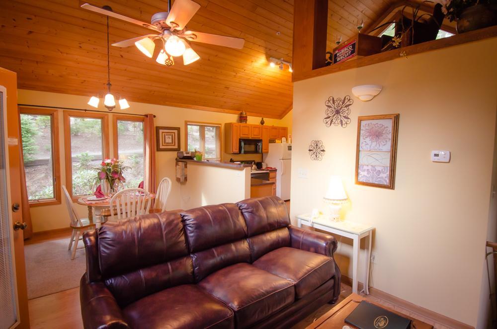 Asheville Cabins Of Willow Winds Екстериор снимка